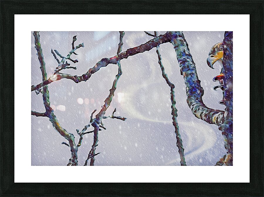 beakaboo   landcape orientaton Picture Frame print