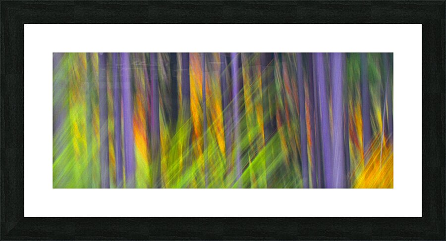 fired up Picture Frame print