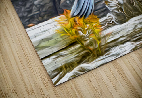 tricksters and shape shifters shawn morris creative puzzle