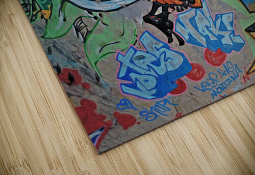 hastings bowl fly shawn morris creative puzzle