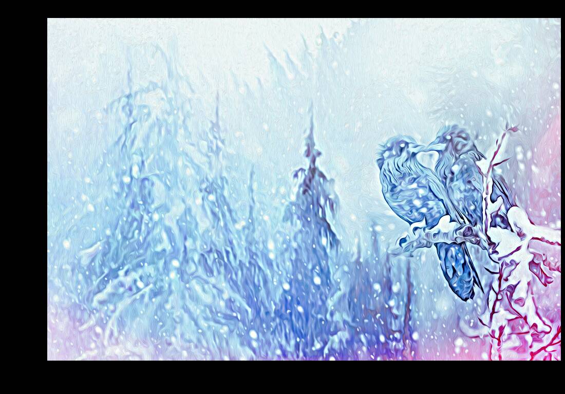 love birds Reproduction