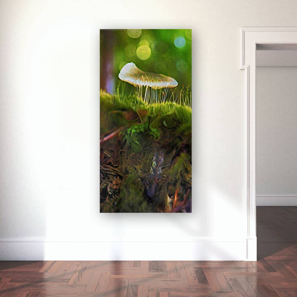 magic underfoot Reproduction