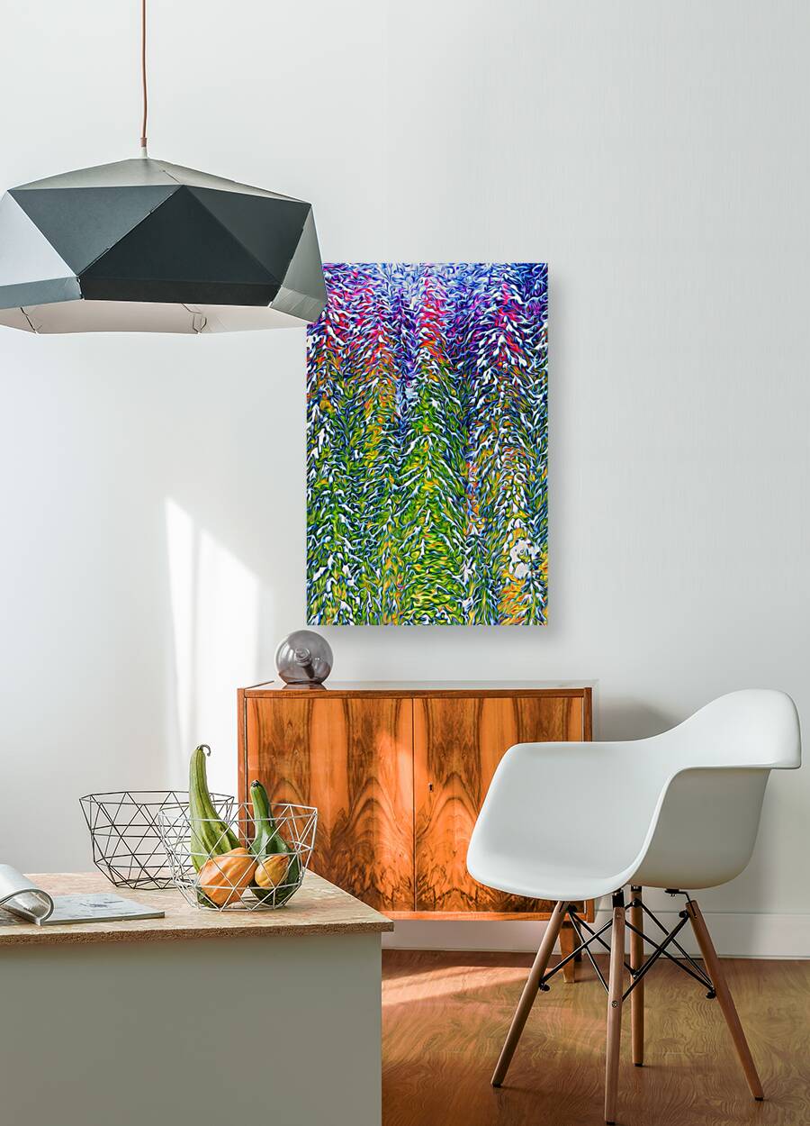 presimmon cardigan coniferous sunrise Landscape O Reproduction