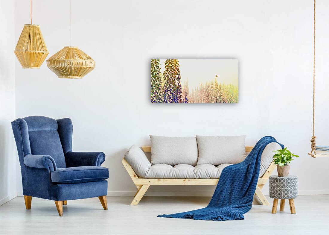 tricksters glow Panoramic Orientation Reproduction