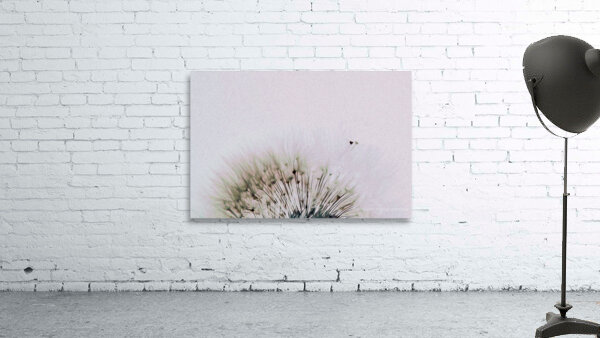 fly away with me Wall Preview