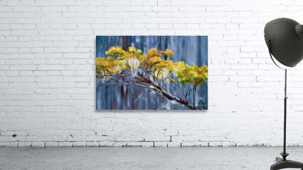 moss hawk Wall Preview