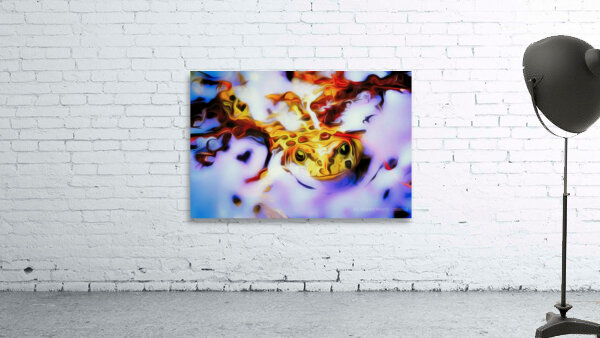 simba and the toad Wall Preview