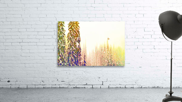 tricksters glow : landscape orientation Wall Preview