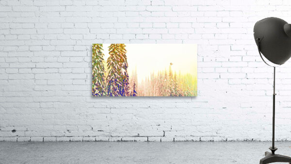 tricksters glow Panoramic Orientation Wall Preview