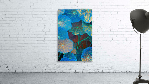 avatar star fowers Wall Preview