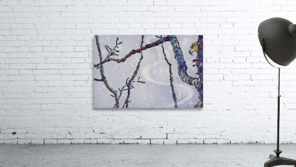 beakaboo   landcape orientaton Wall Preview