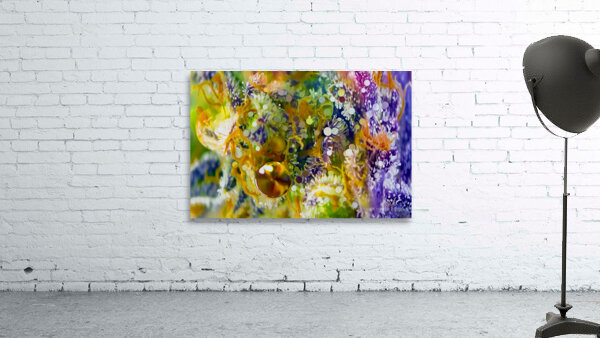 pumping up the jam Wall Preview