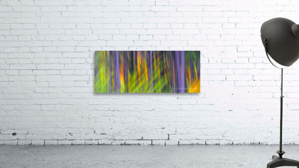 fired up Wall Preview