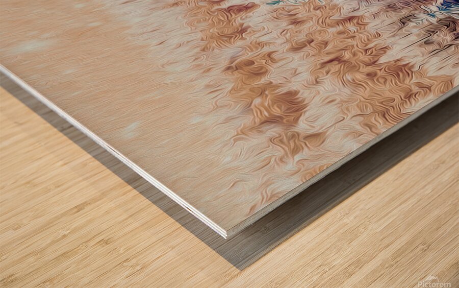 soaring over the hearts of the Kootenais Wood print