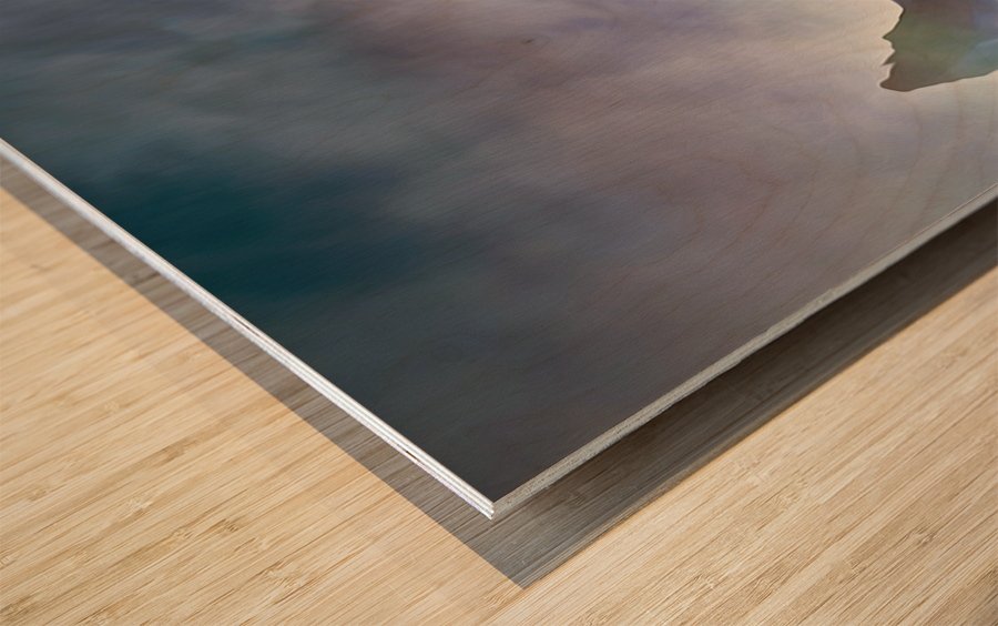 fully engaged Wood print