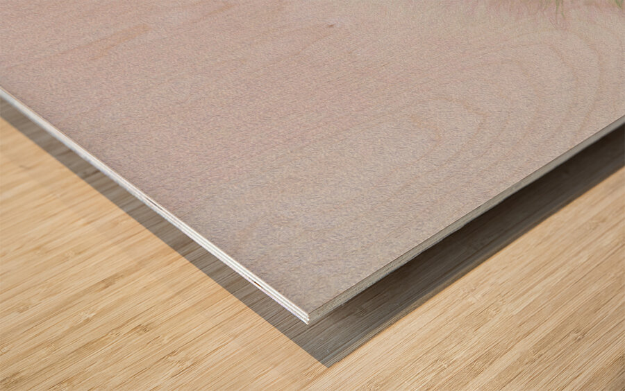 fly away with me Impression sur bois