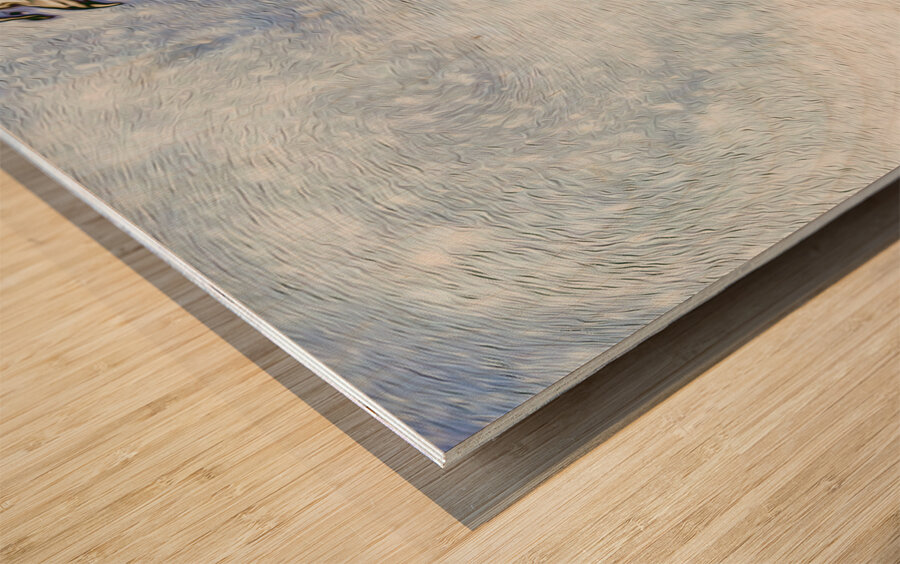 low light delightful double overhead Wood print