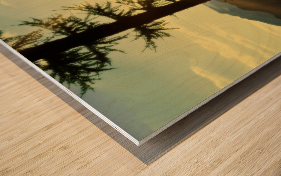 Loki Doki Golden Delight Wood print