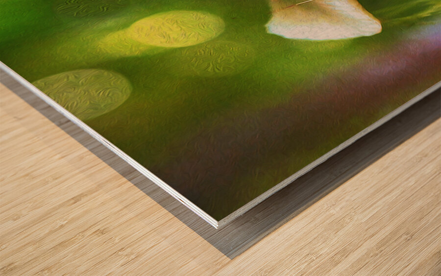 magic underfoot Wood print