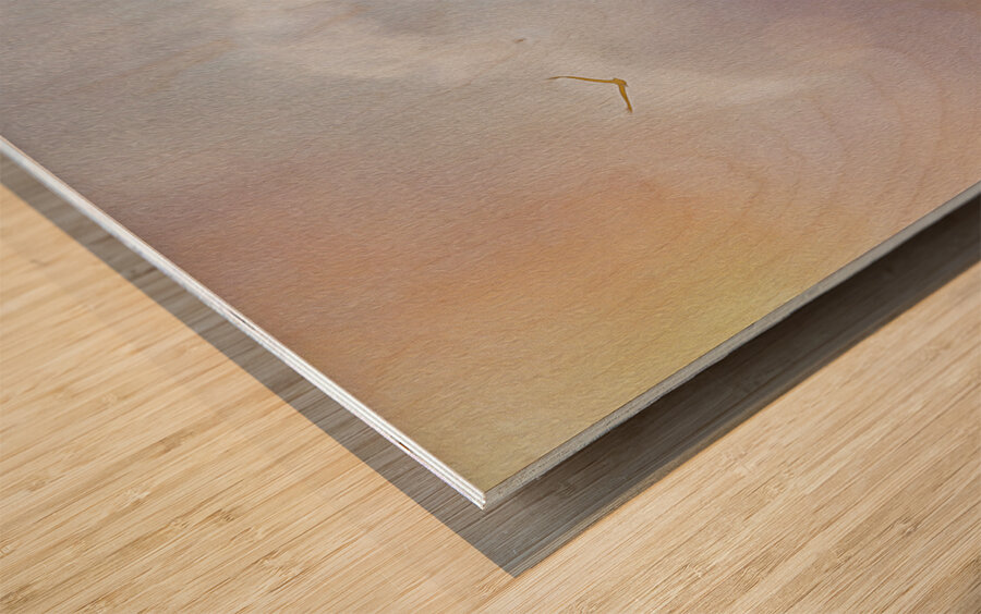 into the mystic Wood print