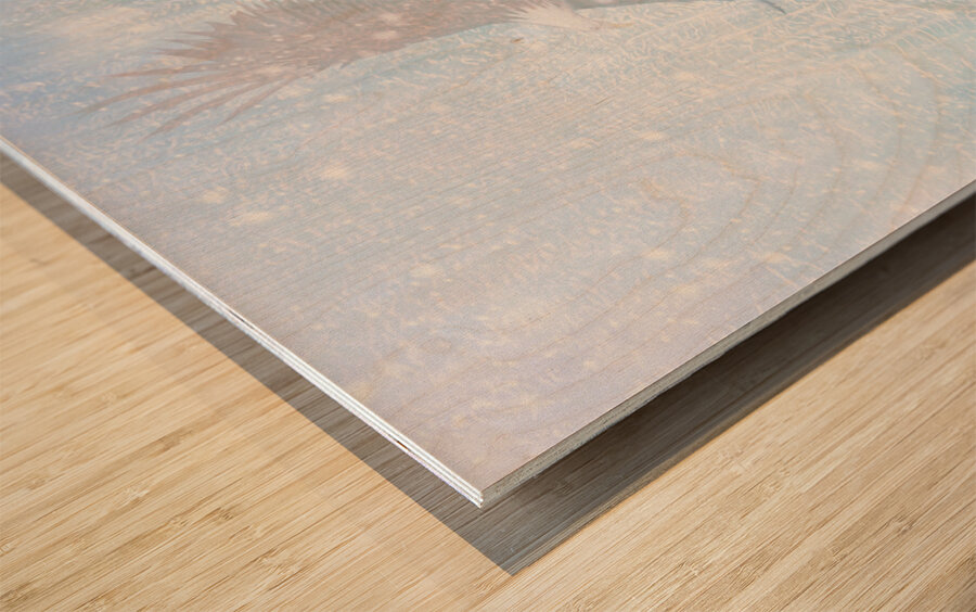 watching from above Wood print