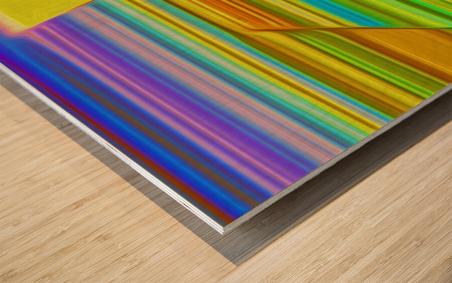 sun up in the paris of the praries Wood print