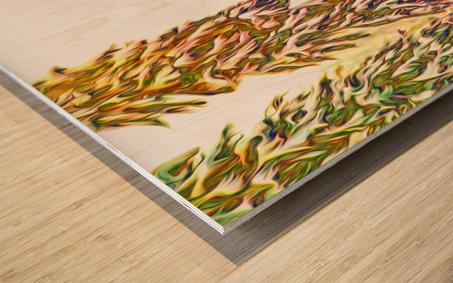 tricksters glow : landscape orientation Wood print