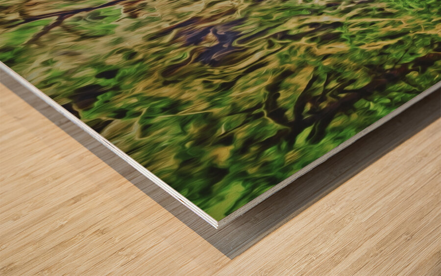 warm and fuzzy aBearitions Wood print