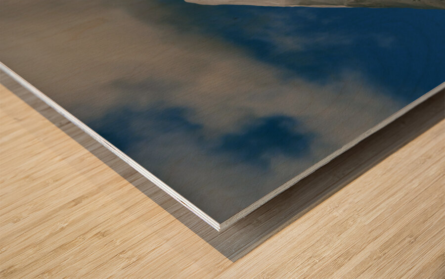 loki dokee moon shadows Wood print