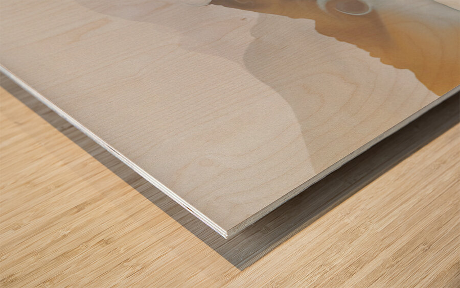 get up to get down landscape orientation Wood print