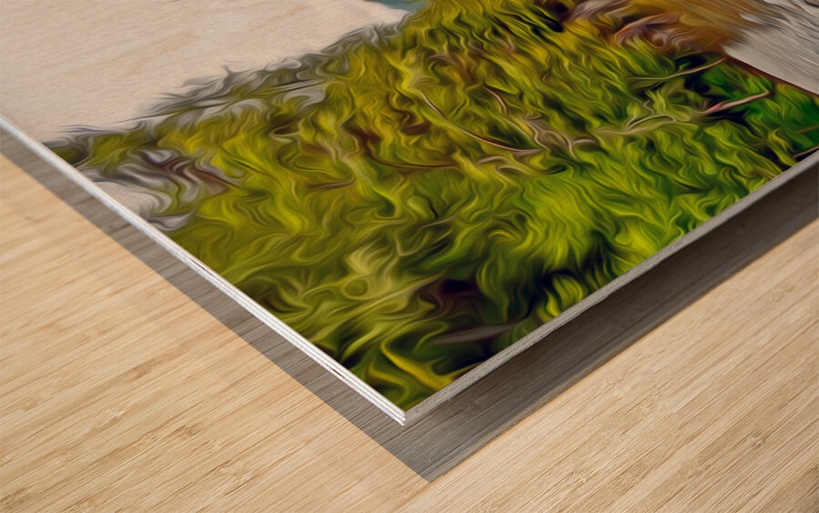 avatar grove balancing act Impression sur bois