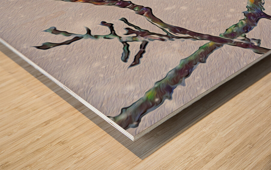 beakaboo panoramic orientation Wood print