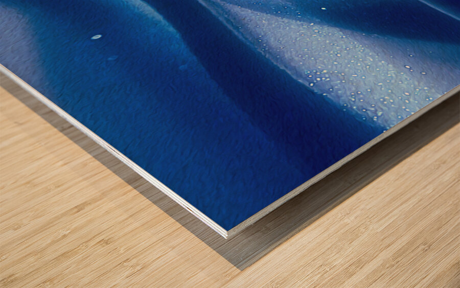 minus 40 midnight moon dust panoramic orientation Wood print