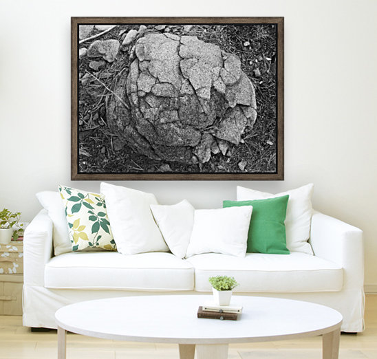 minor world falling apart Reproduction