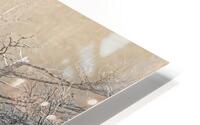 Bare Bones r45 HD Metal print