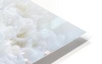 Froth - Panoramic view  r21 HD Metal print