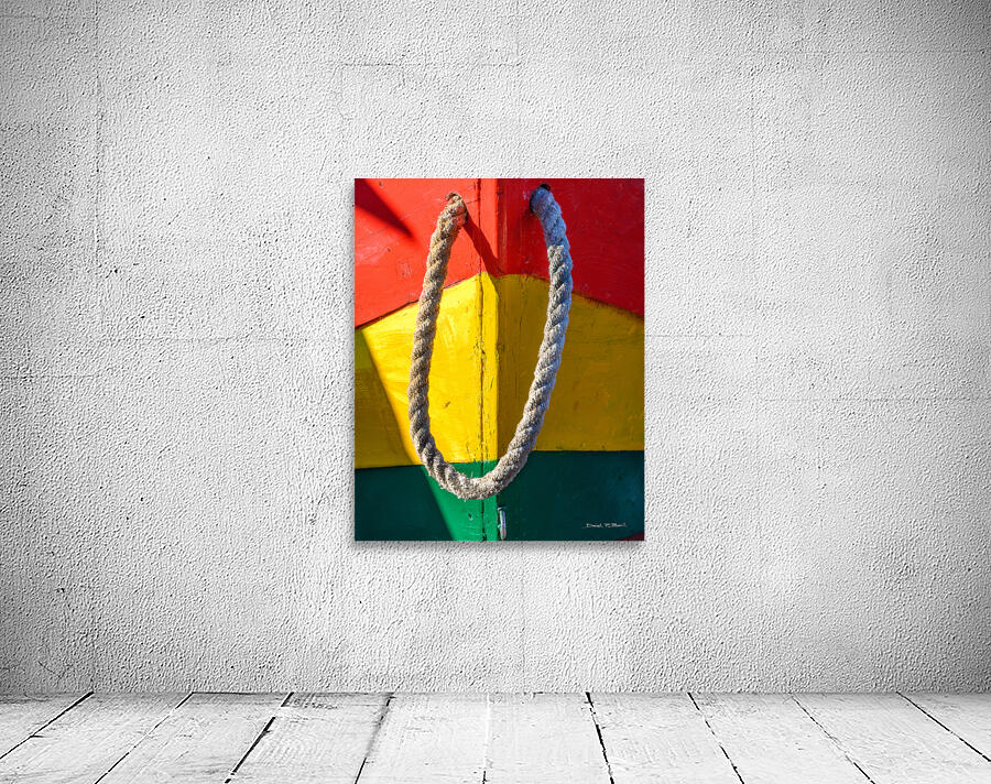 Colourful Dory - r45 Wall Preview