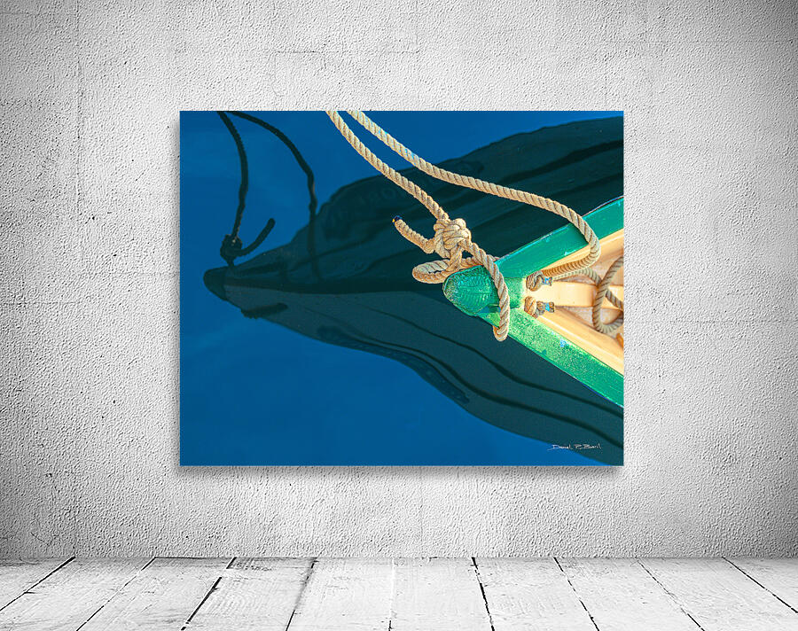DORY IN REFLECTION r45 Wall Preview