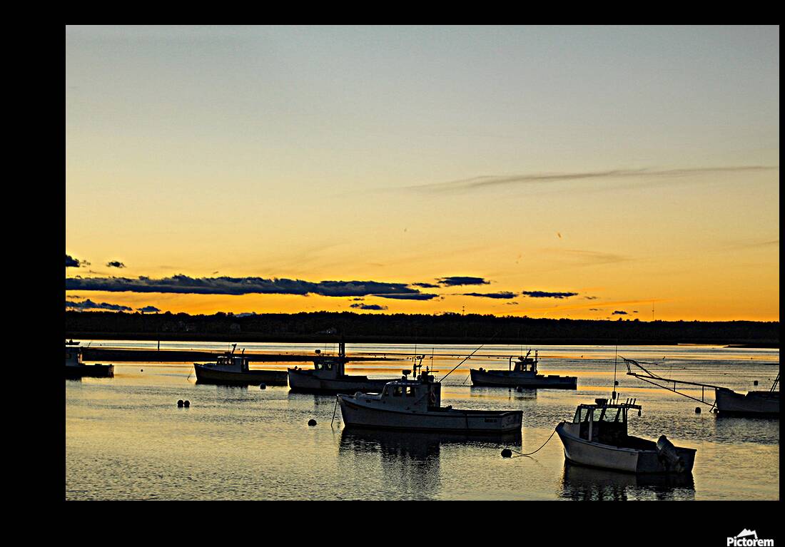 Harbor at Rest Reproduction