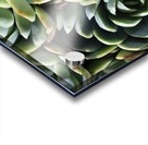 Succulent World Acrylic print