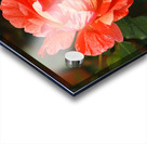Rose Pair Two Toned Acrylic print