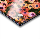 African Daisy Rich Acrylic print