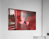 Flowering Quince Acrylic Print