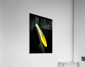 Daffodil Acrylic Print