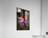 Wallflower Acrylic Print