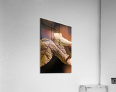 leaf Textures Acrylic Print