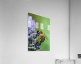 Lavender Bee Acrylic Print
