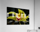 Green Orchid Acrylic Print