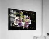 Corkscrew Flower Acrylic Print