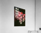 Succulent Flowers Acrylic Print